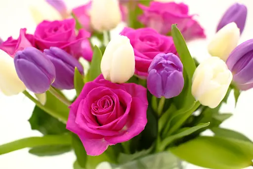 Alitalia Florist $80 voucher